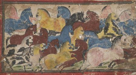 Herd of Horses