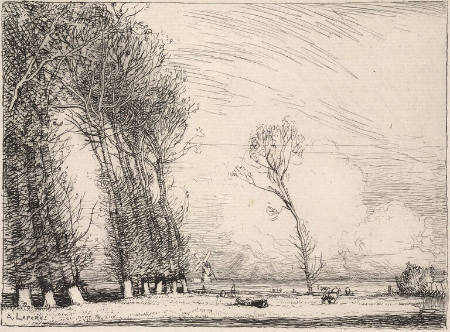 Rideau de Peupliers (Curtain of Poplar Trees)