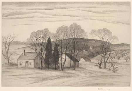 Spring Landscape