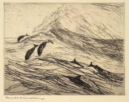 Porpoises