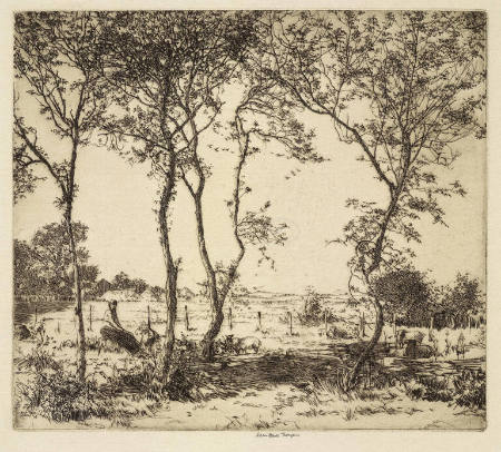 Landscape with trees