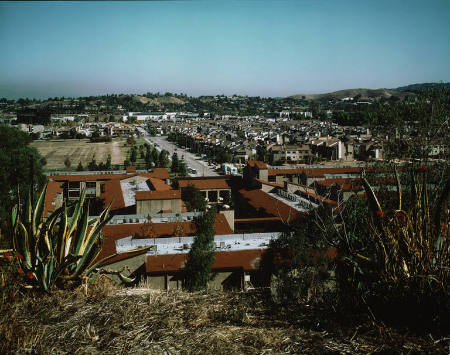 Untitled, from the portfolio Los Angeles Documentary Project