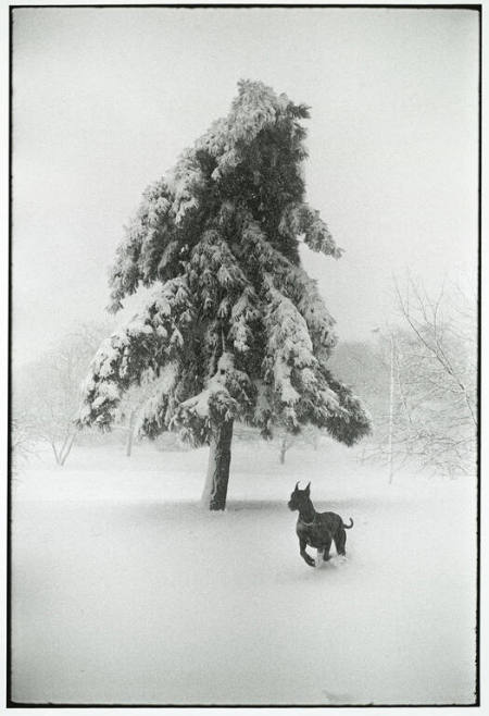 New York City, from the portfolio Garry Winogrand