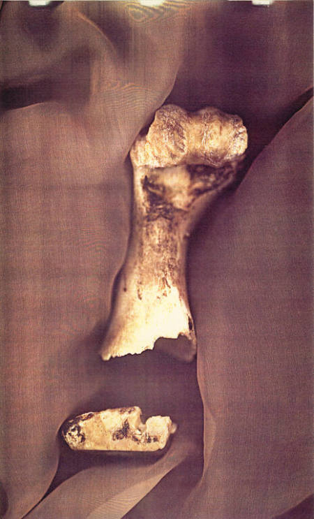 Sainted Bones
