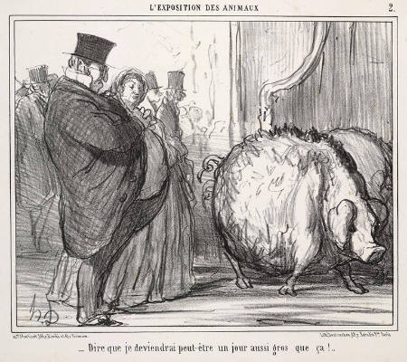 L'Expositions des Animaux  "Dire que je deviendrai peut-être un jour aussi gros que ça..."