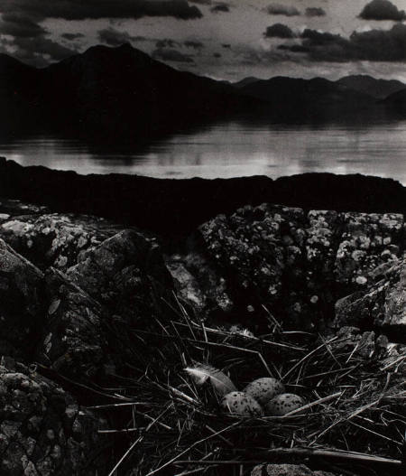 Gull's Nest, late on midsummer night, Isle of Skye