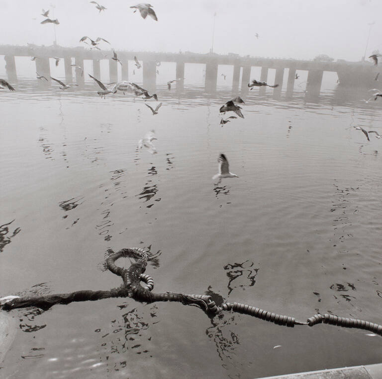 Matosinhos, Portugal, July 1996, #26-36, from the portfolio April, 1999