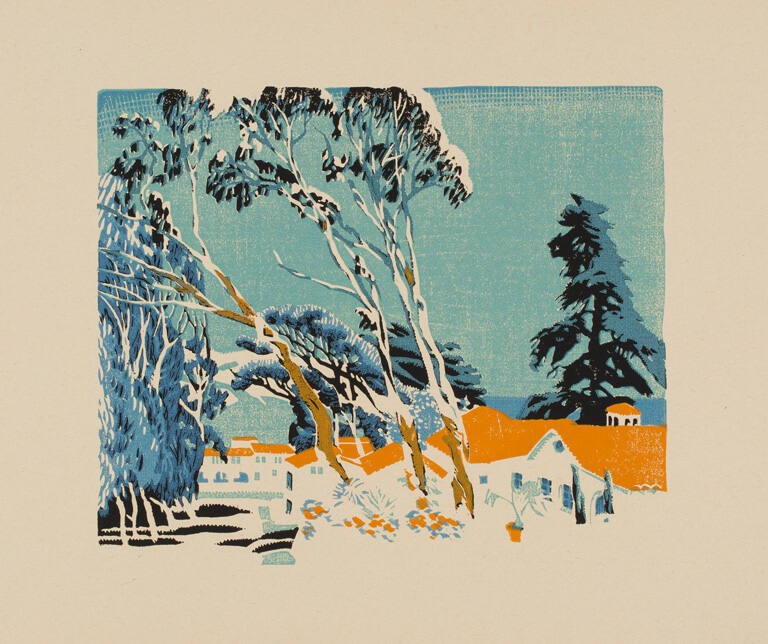 Windswept Eucalyptus