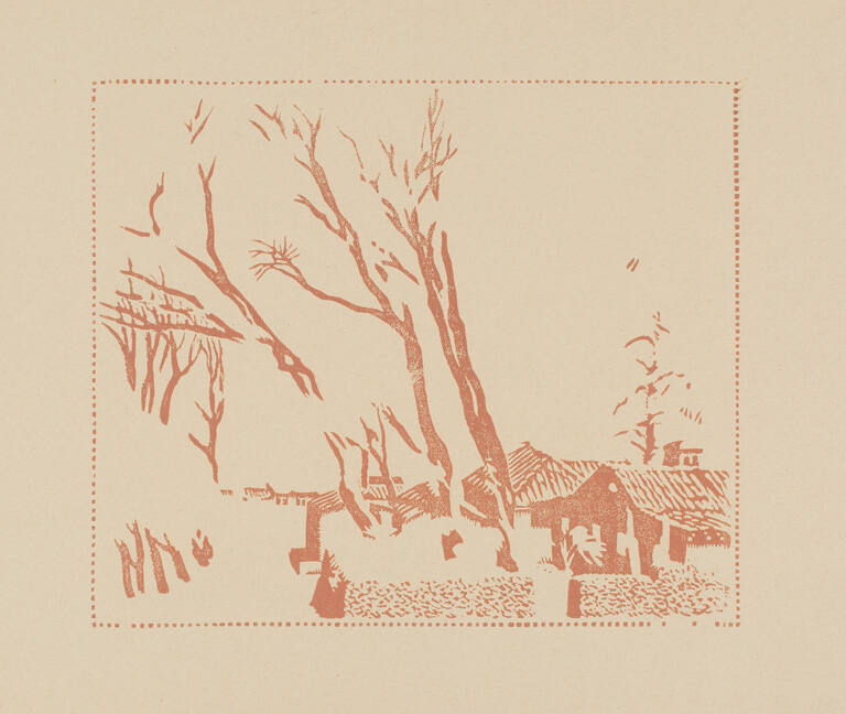 Windswept Eucalyptus