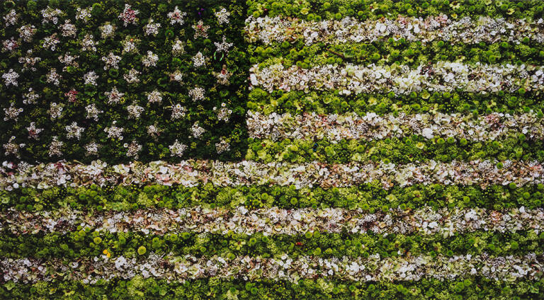 American flag, from the portfolio America: Now + Here