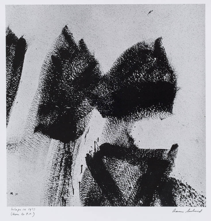 Jalapa 14 1973 (Homage to Franz Kline)