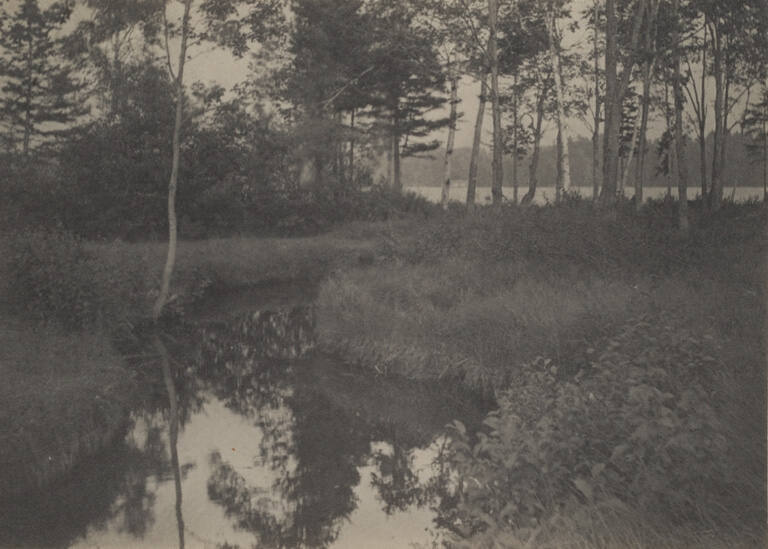 Landscape with brook
