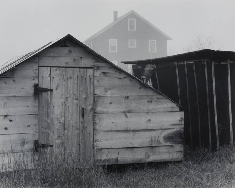 Wooden shed and house