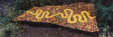 Leaf, river, stone, 4 October 1999