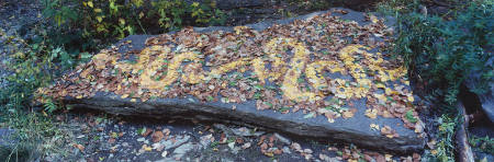 Leaf, river, stone, 4 October 1999