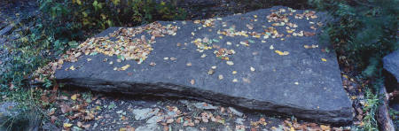 Leaf, river, stone, 4 October 1999