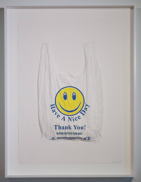 Have A Nice Day, Thank You! Plastic Bag