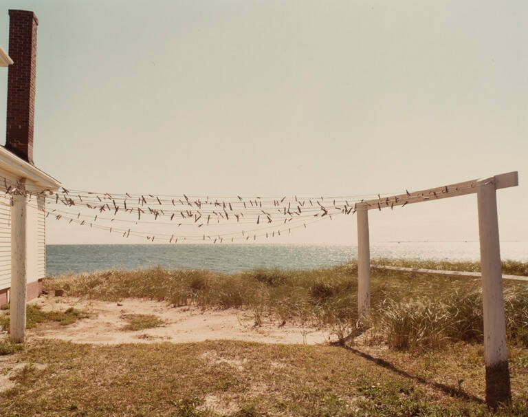 Clothesline, Provincetown, from the portfolio The Cape