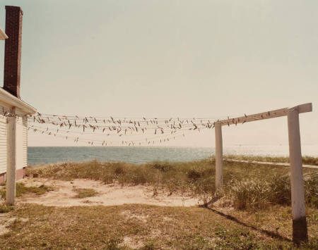 Joel Meyerowitz