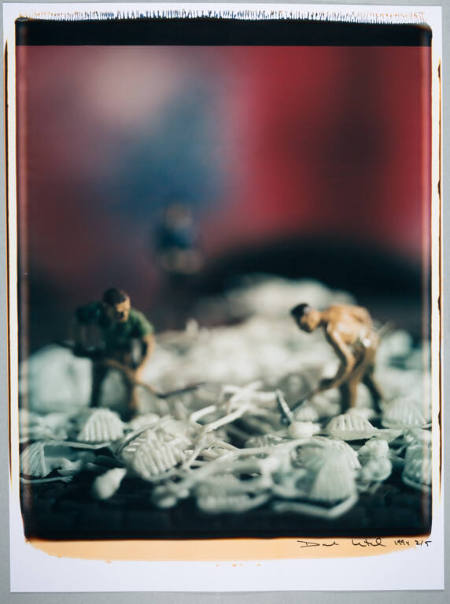 Untitled, from the series Mein Kampf