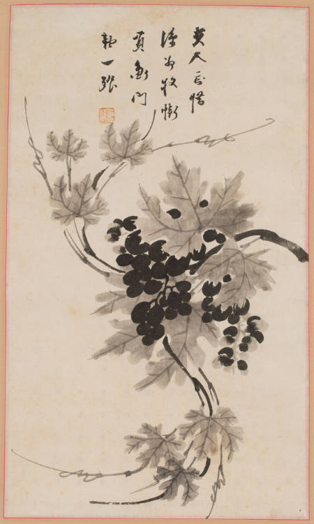 Grapevines and poems