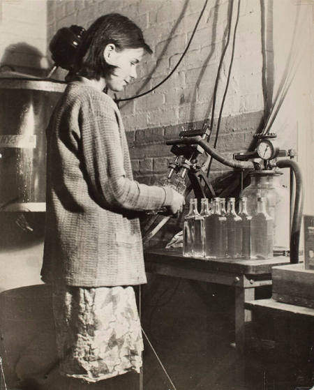 Bottling hair tonic (15 years old), standing job