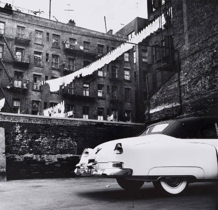 Manhattan backyard, New York City