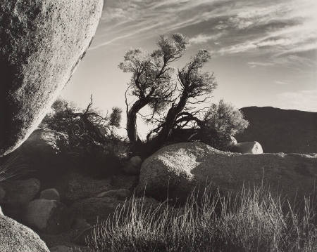 California desert