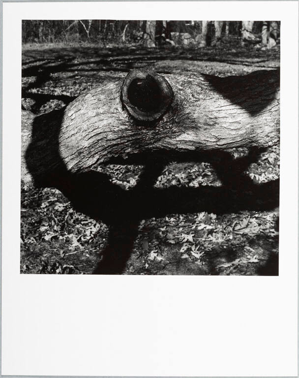 Martha's Vineyard 15