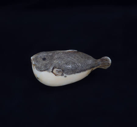Netsuke of a blowfish