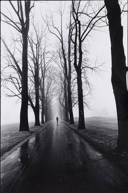 Jogger, Westport, Connecticut