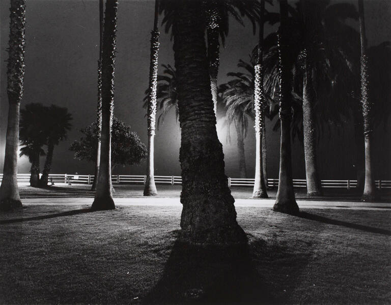 Palisades Park, Santa Monica