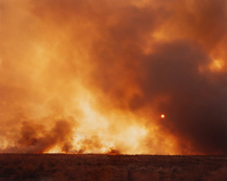 Desert fire #135