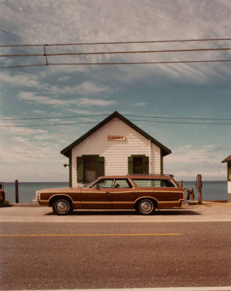 Cosmos, Provincetown, from the portfolio The Cape