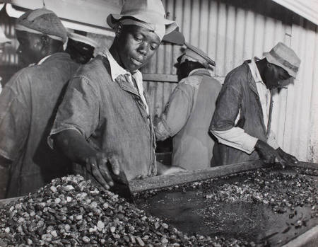 [Workers carefully examining gravel to pick out any diamonds that may have been missed by the white operator, Johannesburg, South Africa]