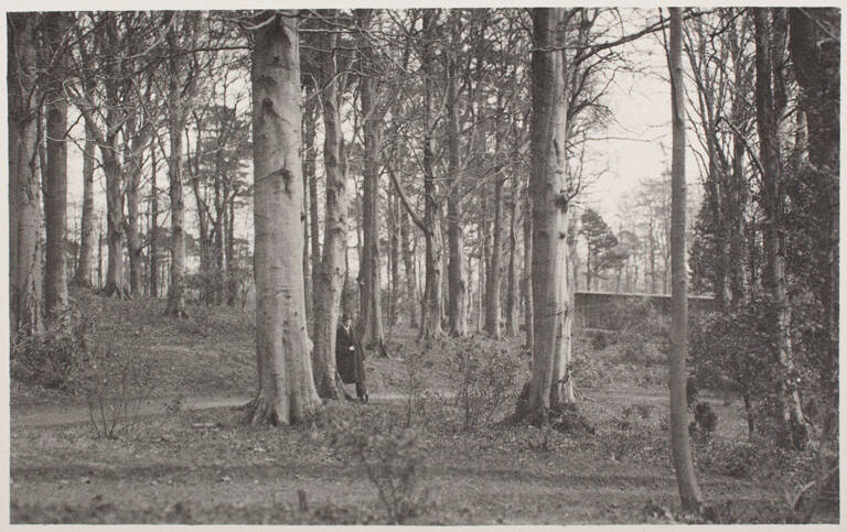 [Man standing against tree in forest]