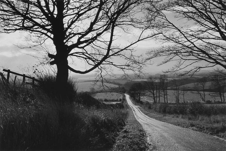 En route to Whitby, from the portfolio Stone Walls, Grey Skies: A Vision of Yorkshire