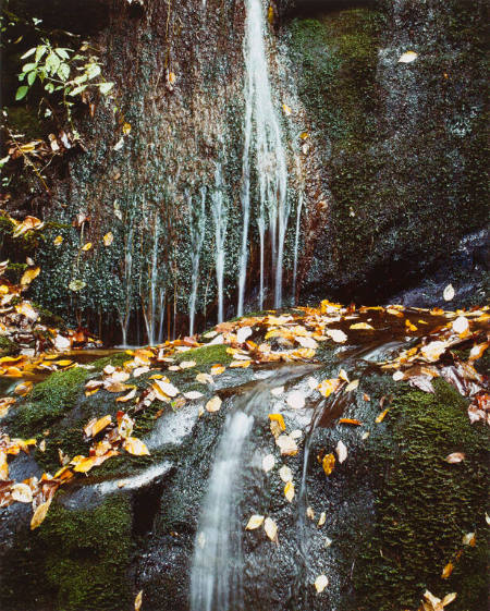 Running water, Roaring Fork Rd., Great Smoky Mountains, from the portfolio Color Nature Landscapes II