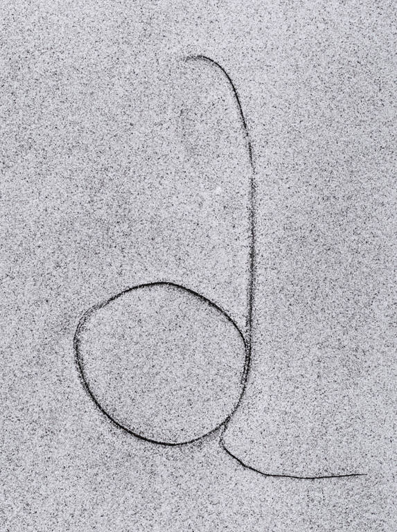 Martha's Vineyard seaweed 2