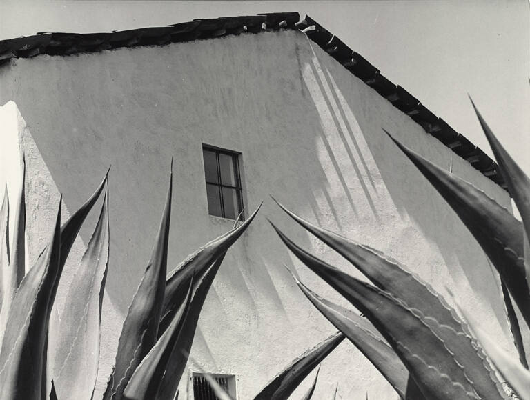 Ventana a los Magueyes, from the portfolio Manuel Alvarez Bravo