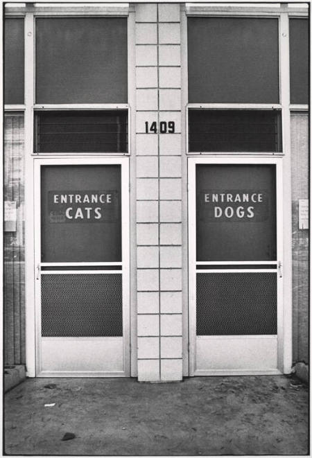 Cats & dogs, Alabama, USA, from the portfolio Recent Developments