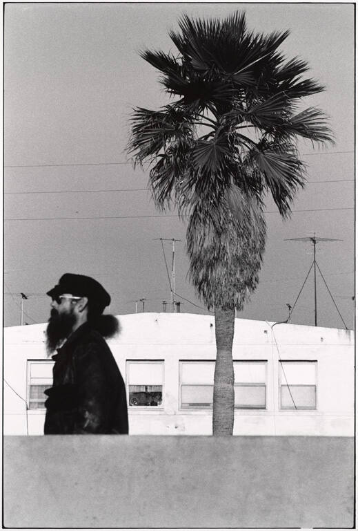 Bearded man with tree, Venice, USA , from the portfolio Recent Developments