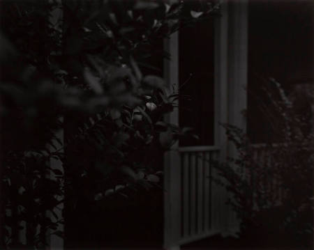 Untitled #4 (Leaves and porch), from the portfolio Night Coming Tenderly, Black