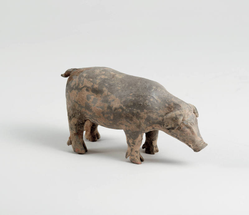 Tomb figure of a pig