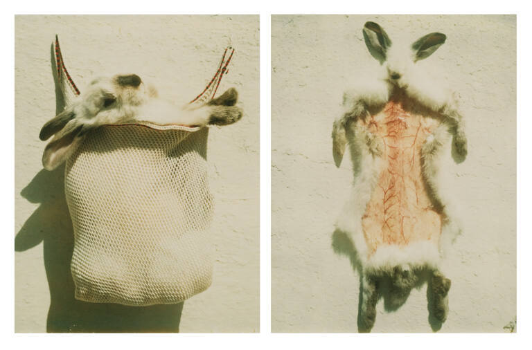 Untitled, from Tucson Portfolio II