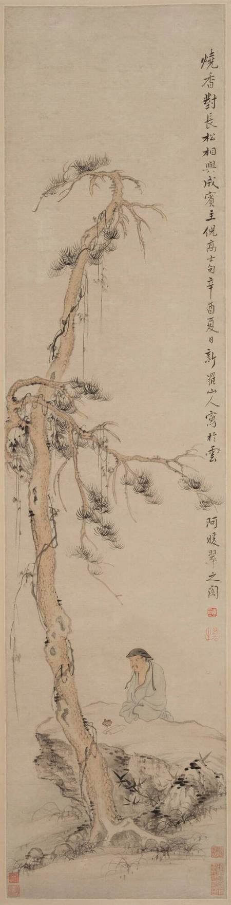 Scholar and Pine Tree