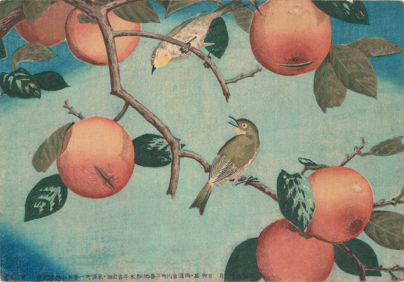 Ripe Persimmons and Two Mejiroes