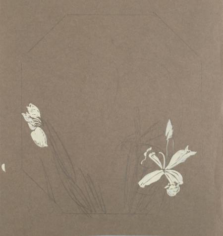 Iris flowers