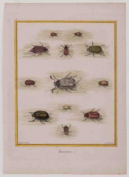 Attributed to François Nicolas Martinet