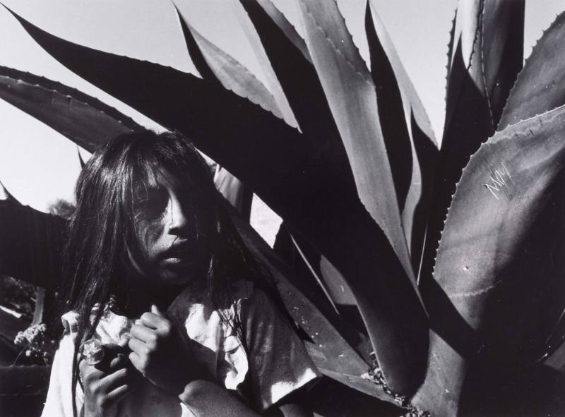 Muchacha y maguey